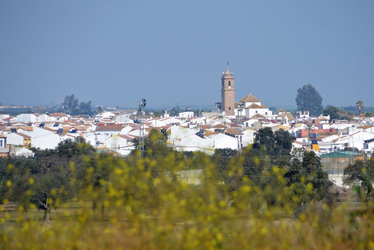 01_villamanrique_de_la_condesa