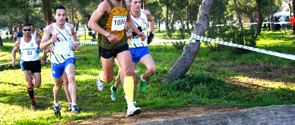 Final_Villamanrique.jpg