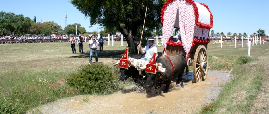TRADICIONES_2014_RESUMEN_FOTO1.jpg