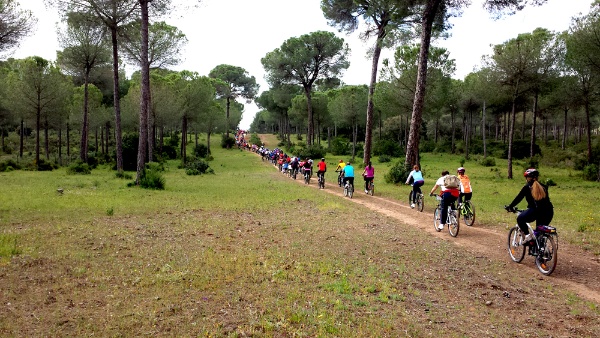 ciclo1